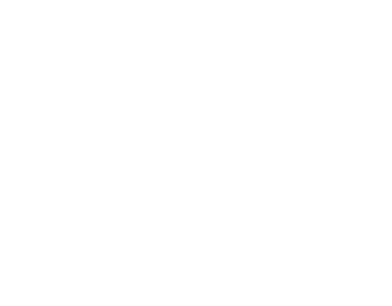 White Dove Release Weddings, funeral services, special events & more!
